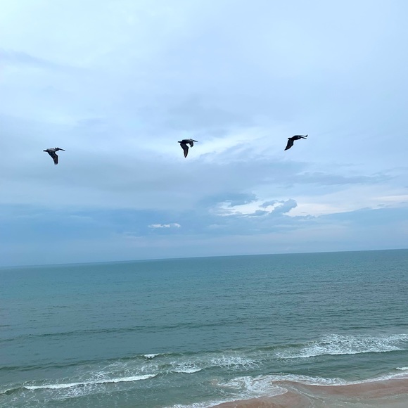 Like This Post! You’ll Be Notified When I Go Live! - Picture 1 of 2